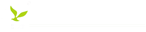 Awesome Logo